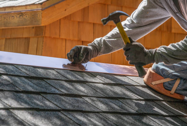 Best Solar Panel Roofing Installation  in Carbon Cliff, IL